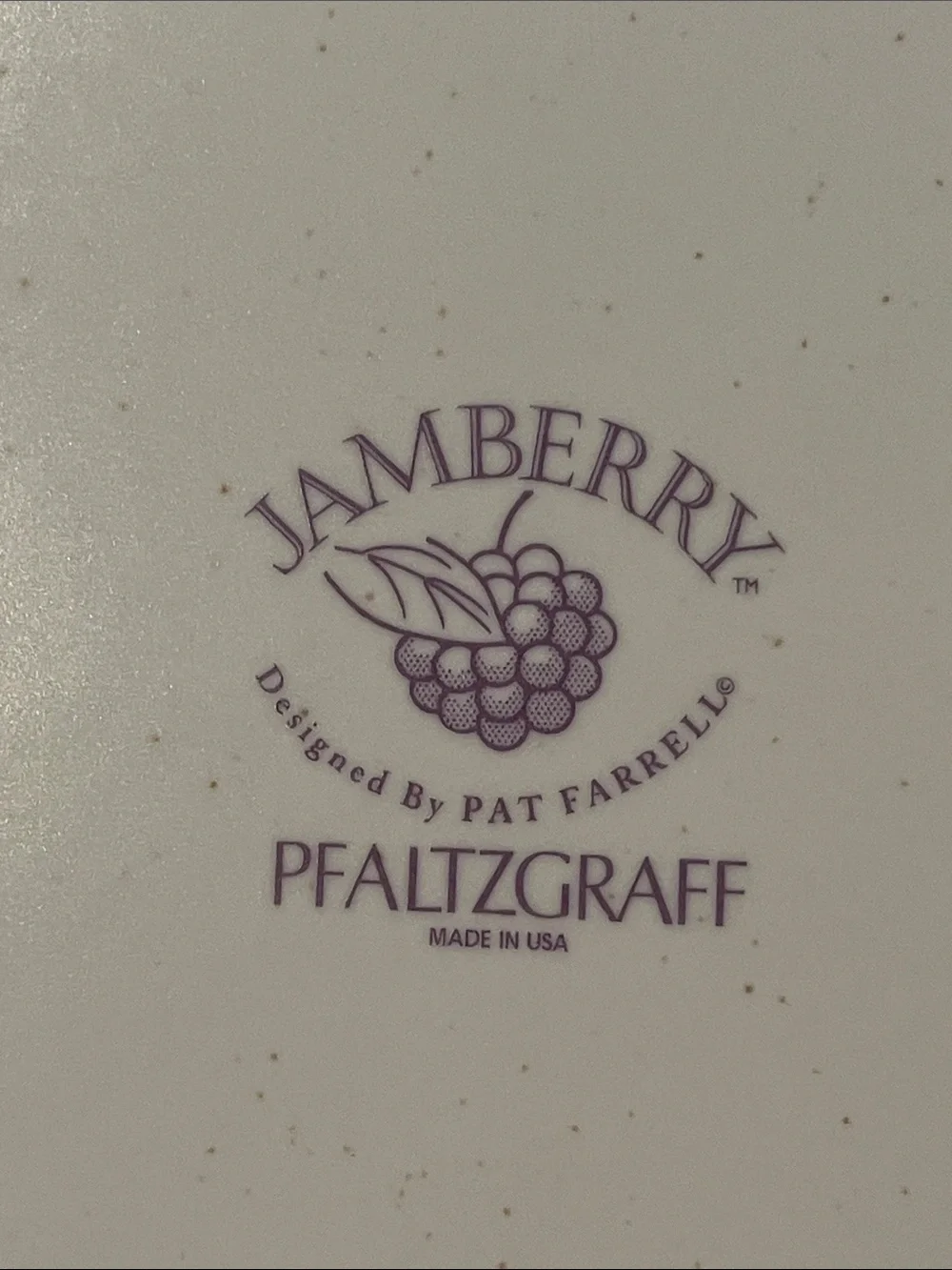Pfaltzgraff Jamberry Oval Serving Platter
